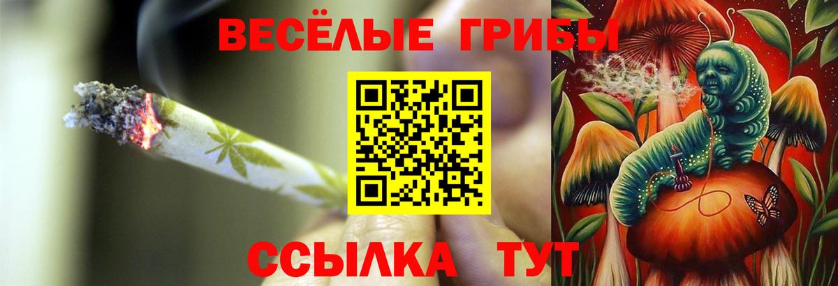 Анапа  Псилоцибиновые грибы Cubensis  Галлюциногенные грибы Psilocybine cubensis  Вход с VPN 